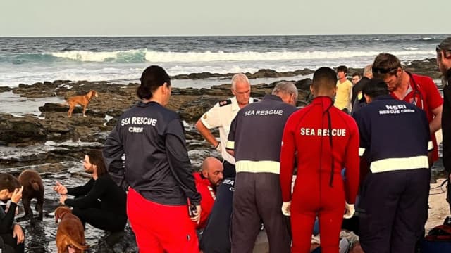 Shark Attack Jeffreys Bay