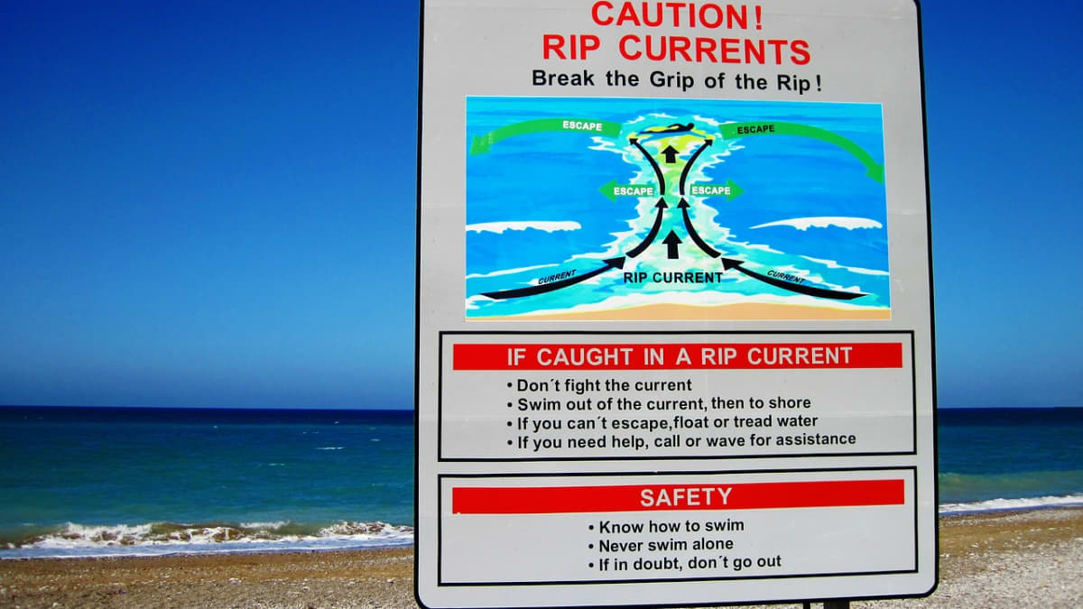 How to Spot a Rip Current, wind wave, foam, shore, seaweed, rip current