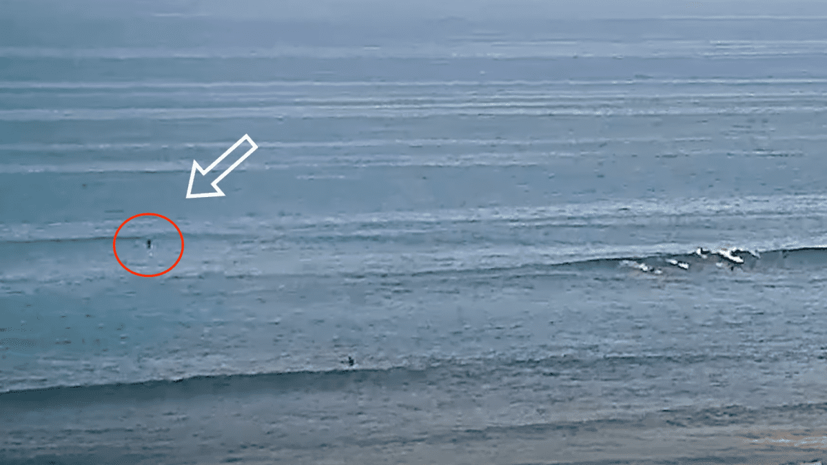 Lower Trestles Surf report & live surf cam - Surfline