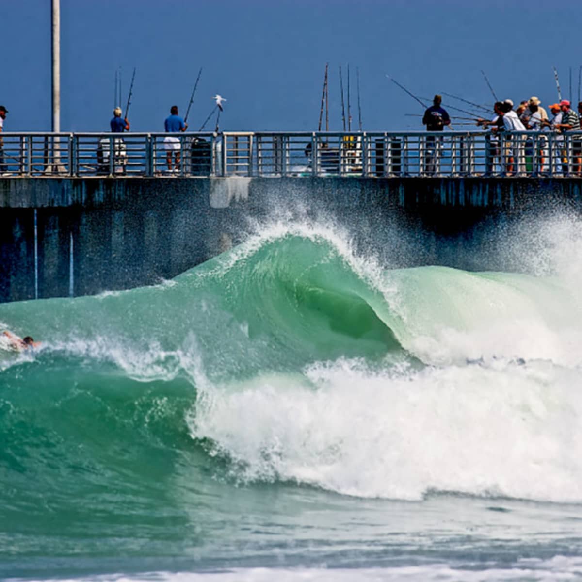 sebastian inlet surf shop