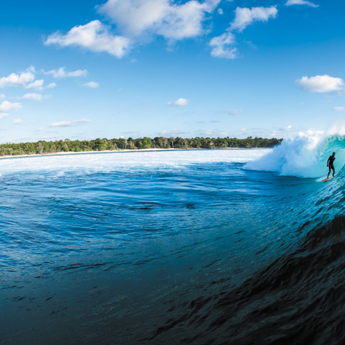 Ryan Burch On Shaping - Surfer