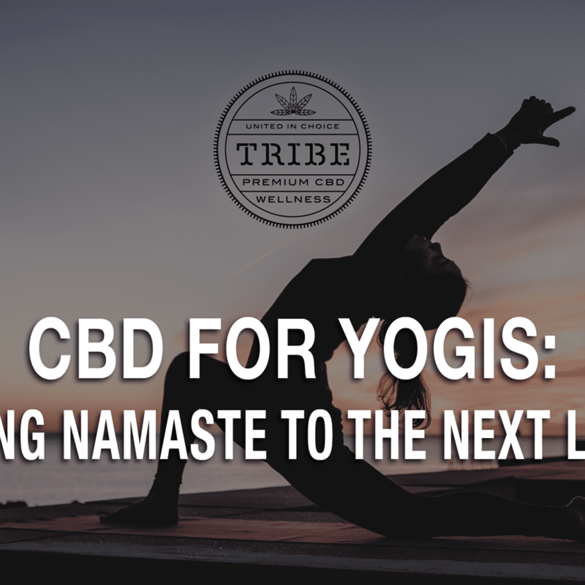 High Yoga: Enhance Yoga with Cannabis and CBD Treatments for
