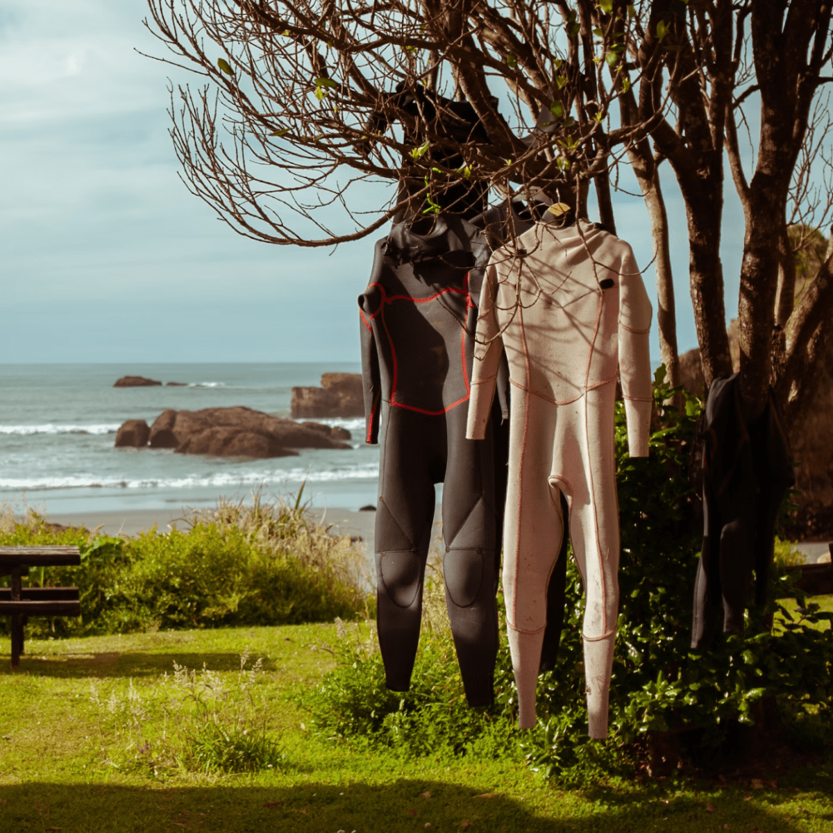 - Thickness Guide Temperature and Surfer Forecast Water Wetsuit