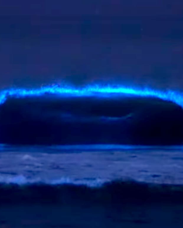 Bioluminescent waves fueled by plankton super swimmers