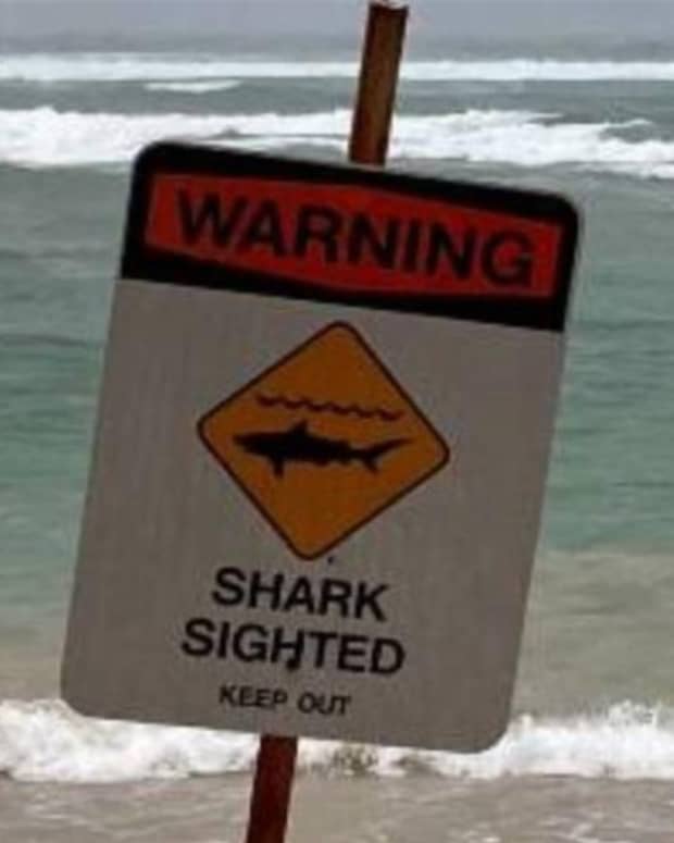 Following Shark Attack and Sighting, Surfing Allowed Again on Kauai ...