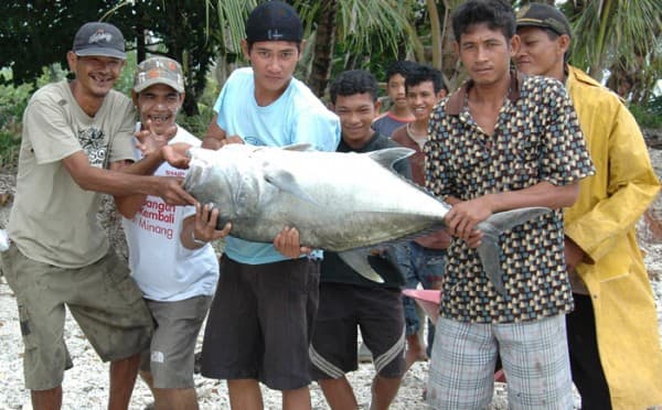 SurfAid's Mentawai Tsunami Update - Surfer