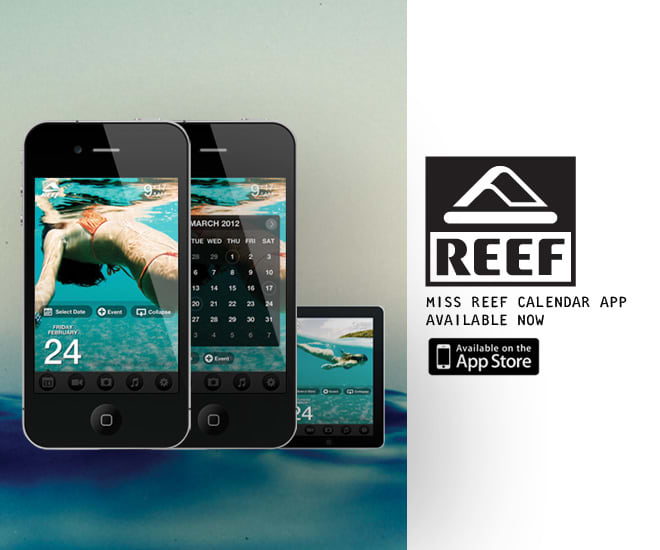 Miss Reef Calendar Application Surfer