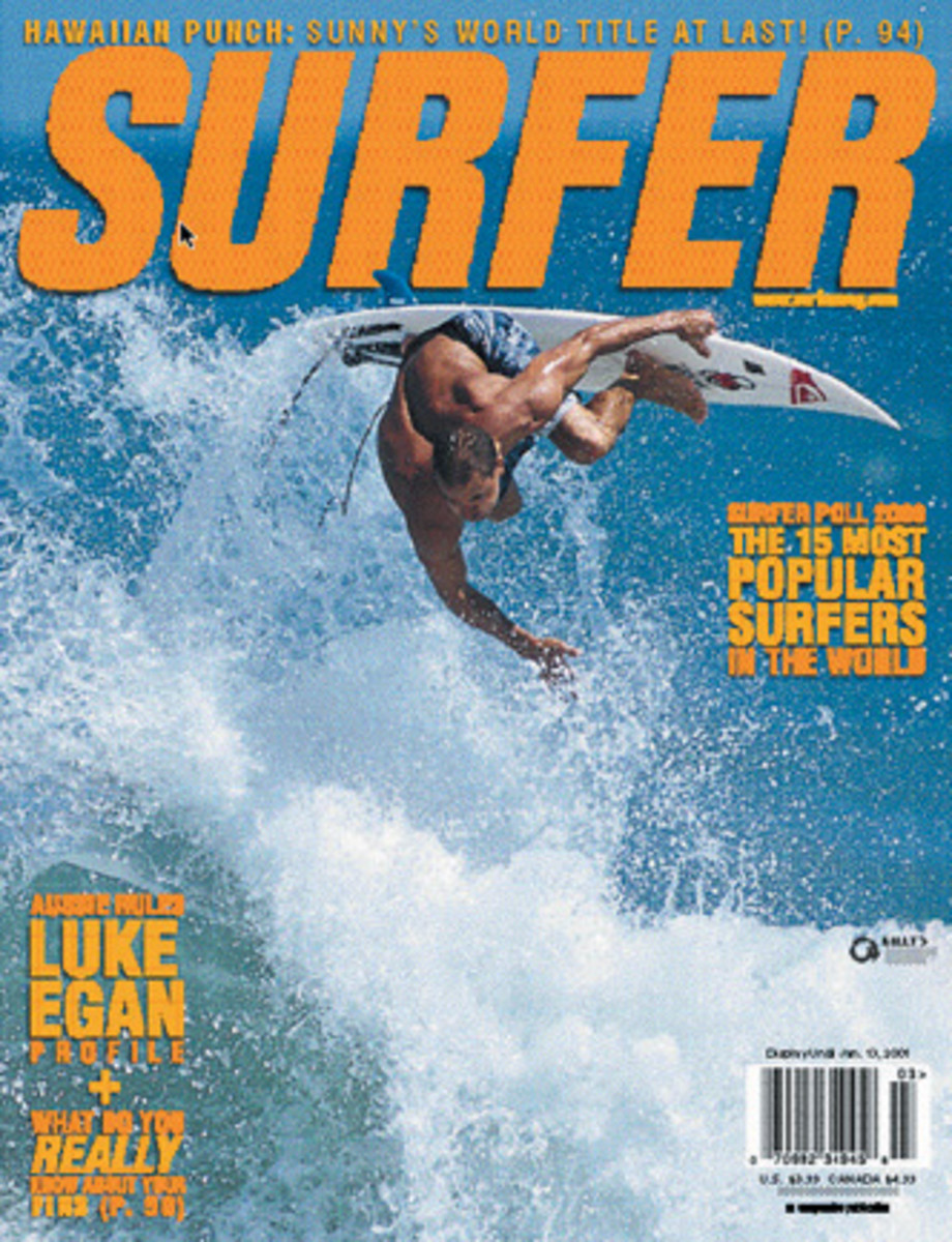 2001 Covers - Surfer