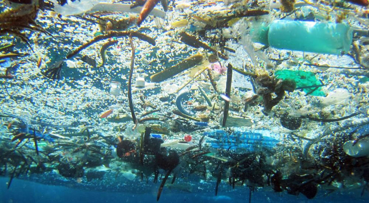 Garbage Patch Growing Faster Than Expected - Surfer