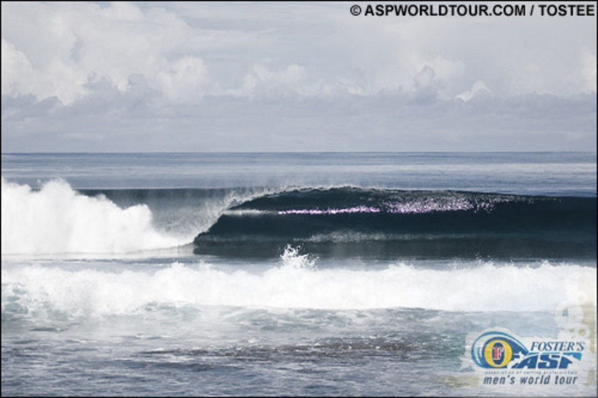 Wayne Rabbit Bartholomews Tribute To Peter Whittaker Surfer