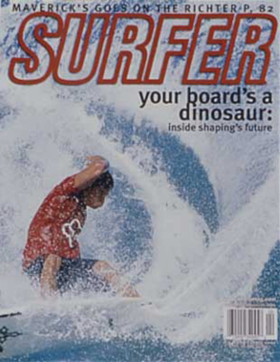 2000 Covers - Surfer