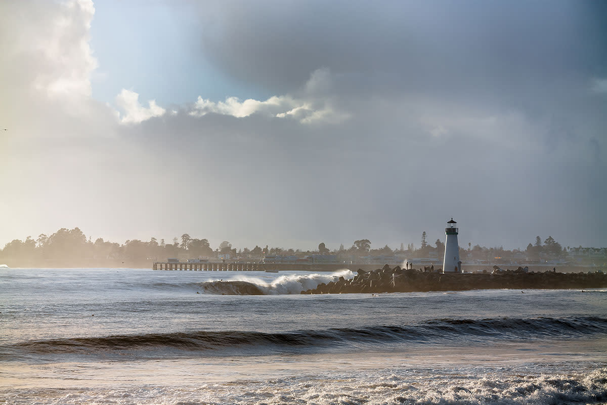 Ano Nuevo Surfing