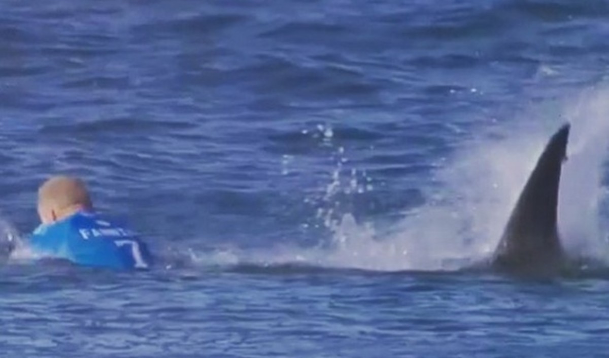 Mick Fanning Attacked By Shark At J-Bay Open | SURFER - Surfer