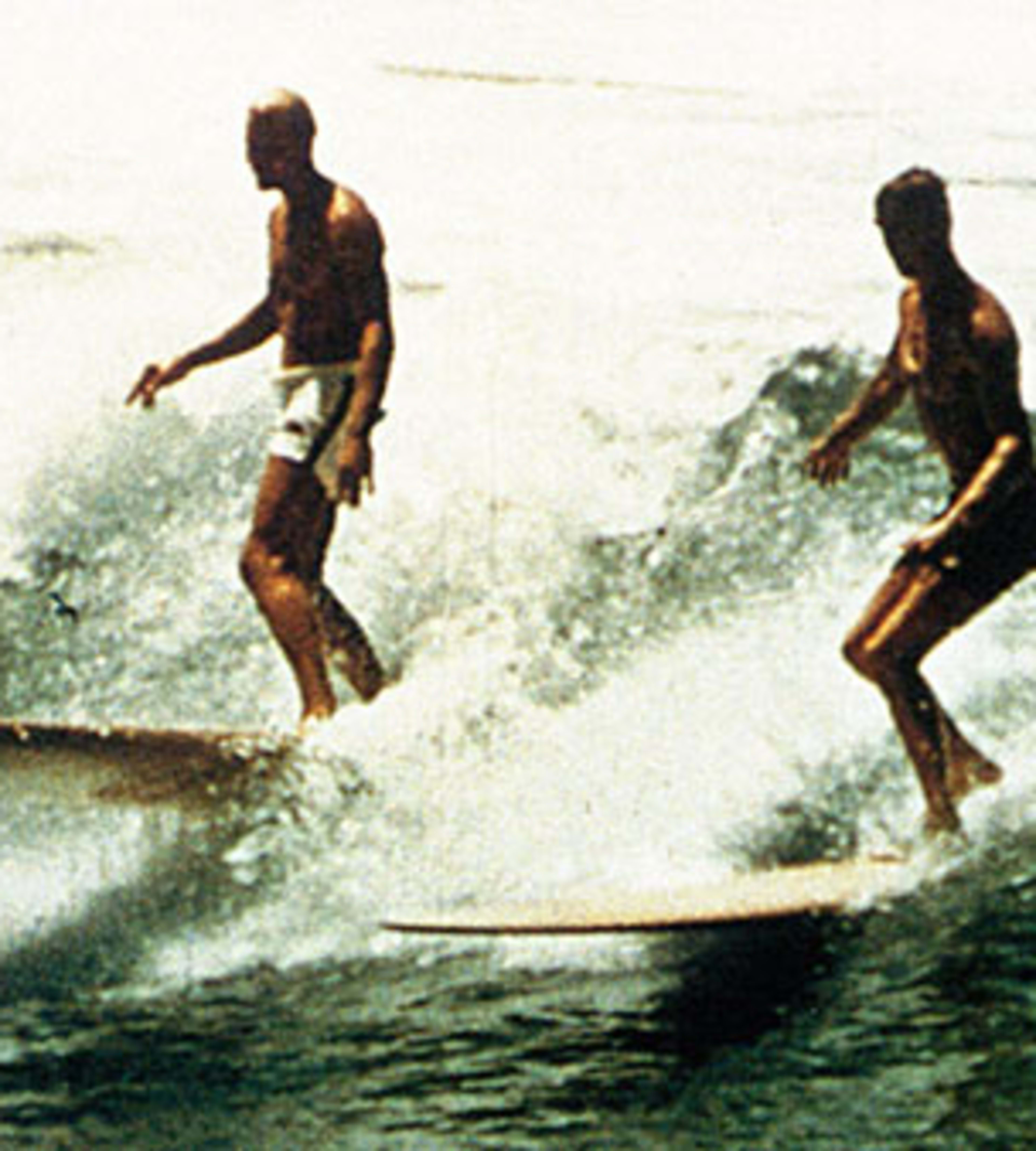 Greg noll boardshorts top